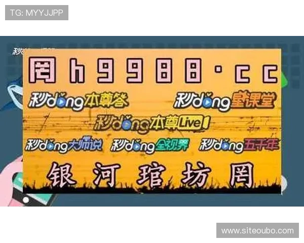 七博abg入口登录流程详解，指导用户快速顺利完成七博abg入口的登录操作