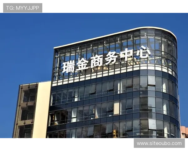 欧博abg官网入口：官方入口的安全验证措施与用户隐私保护策略