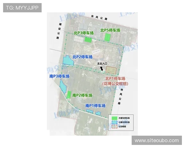 欧博abg集团官网体育赛事直播与投注策略全方位指南