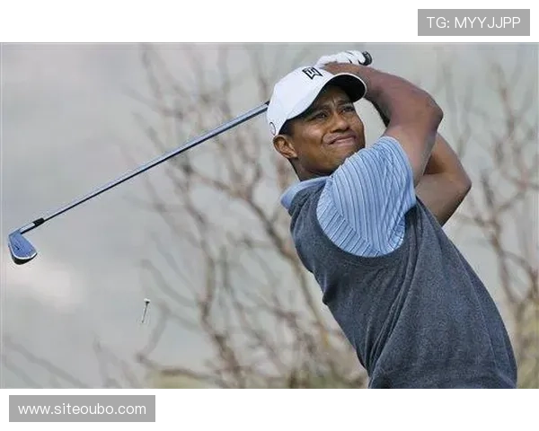 欧博体育app用户评价与反馈，真实体验助你选择最优体育平台