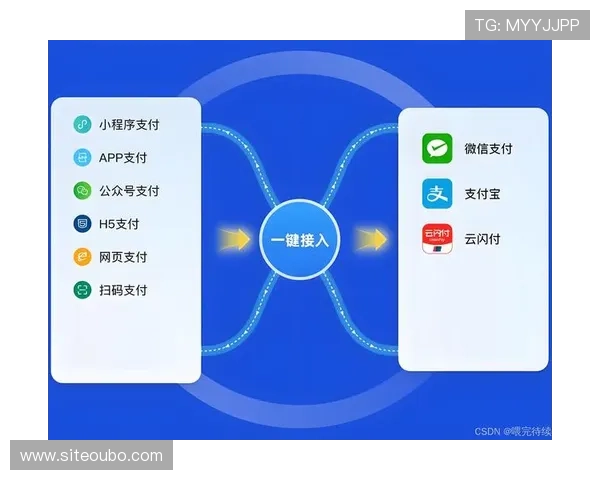 欧博国际app支付方式详解，支持多种便捷支付渠道保障资金安全