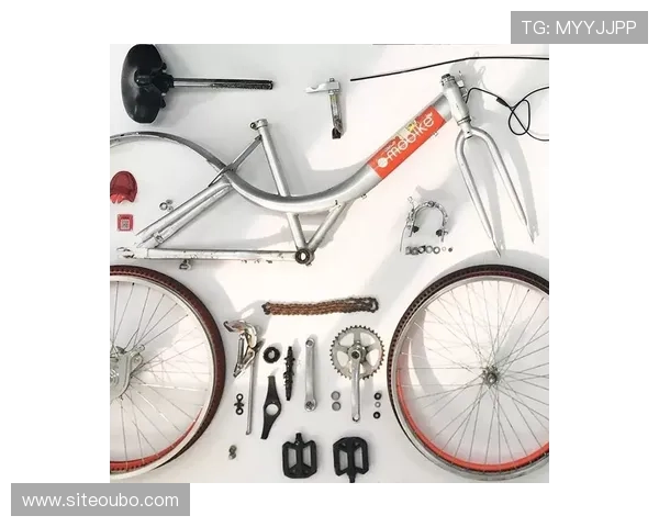 ABG欧博消费者评价与用户体验分享，真实反馈助你做出明智购买决策