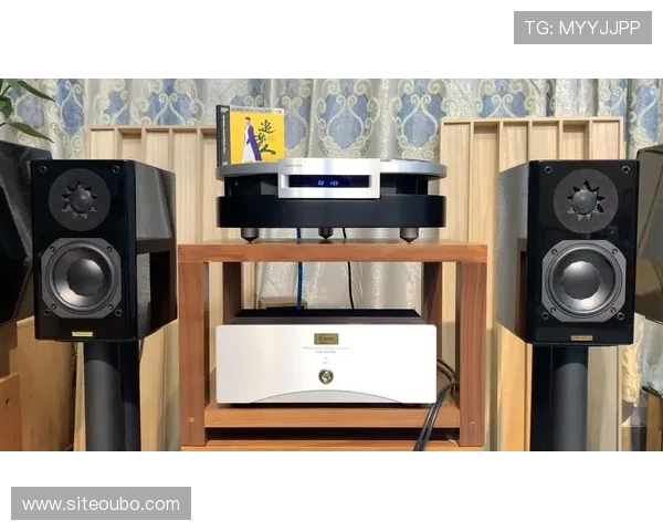 欧博222胆前级的安装与调试方法，确保每一位音响爱好者都能轻松实现完美音效体验