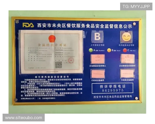 欧博官网会员登录入口手机版安全保障，保障您的账户信息安全