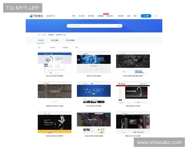 欧博建站:实现多行业多需求的专业网站开发与维护