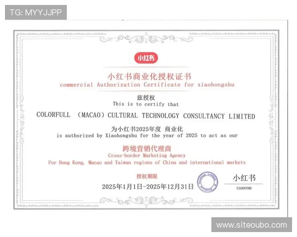 欧博代理网操作流程解析助力代理实现资金管理的高效与安全