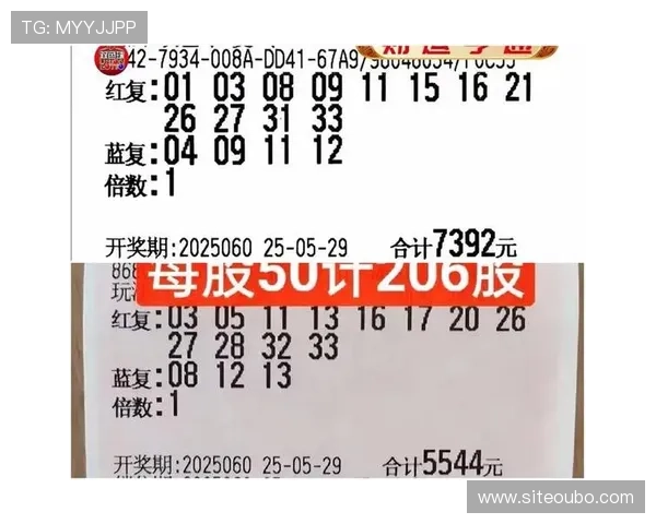 欧博最新官网投注流程详解，确保每位玩家都能顺利完成投注操作与资金管理